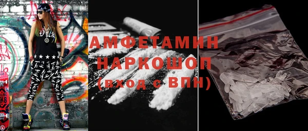 индика Вязники