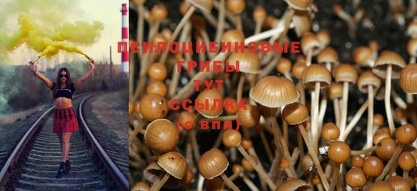 индика Вязники