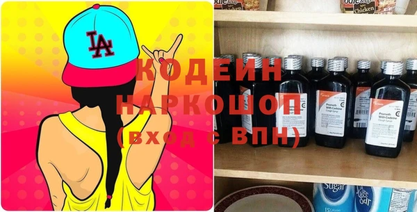 дживик Вяземский