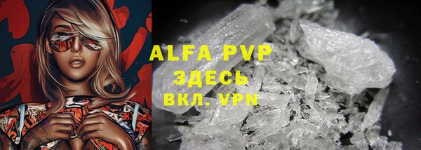 дживик Вяземский