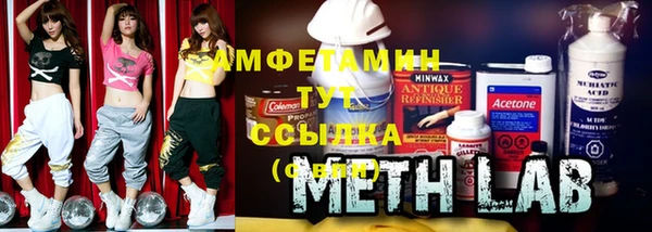 индика Вязники