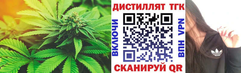 где купить наркотик  Гаджиево  Дистиллят ТГК концентрат 