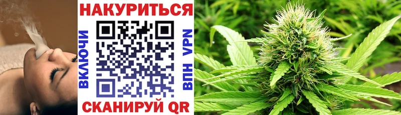 Бошки марихуана ГИДРОПОН  MEGA зеркало  Гаджиево 